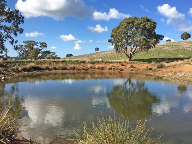 1973 Jury Road, Brukunga SA 5252