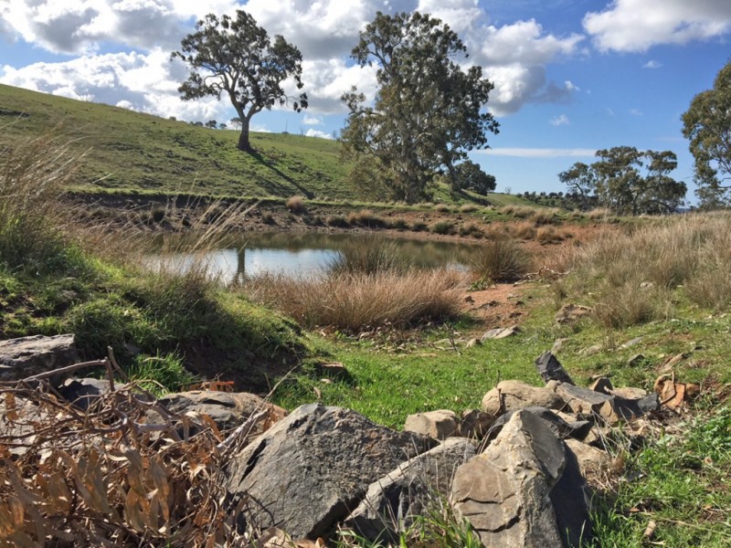 1973 Jury Road, Brukunga SA 5252