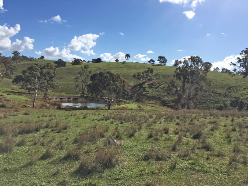 1973 Jury Road, Brukunga SA 5252