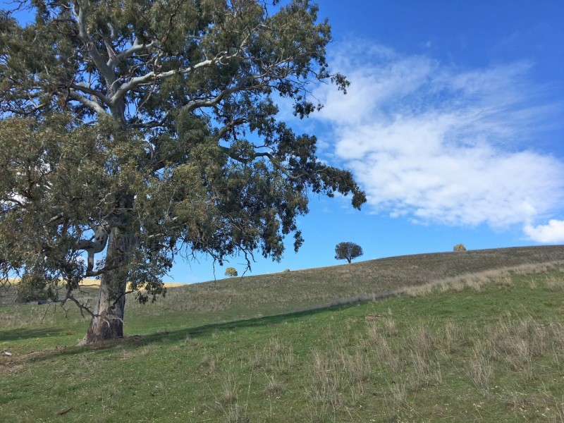 1973 Jury Road, Brukunga SA 5252