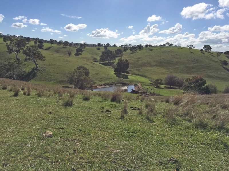 1973 Jury Road, Brukunga SA 5252