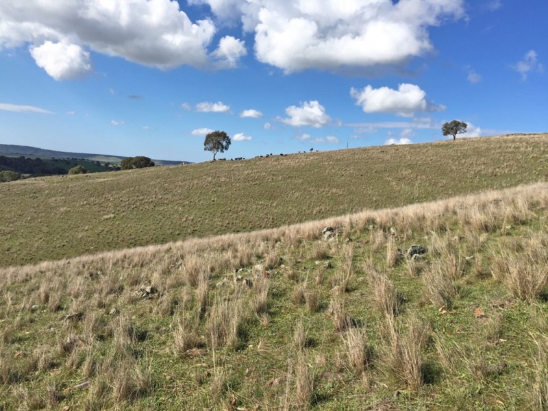 1973 Jury Road, Brukunga SA 5252