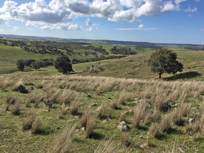 1973 Jury Road, Brukunga SA 5252