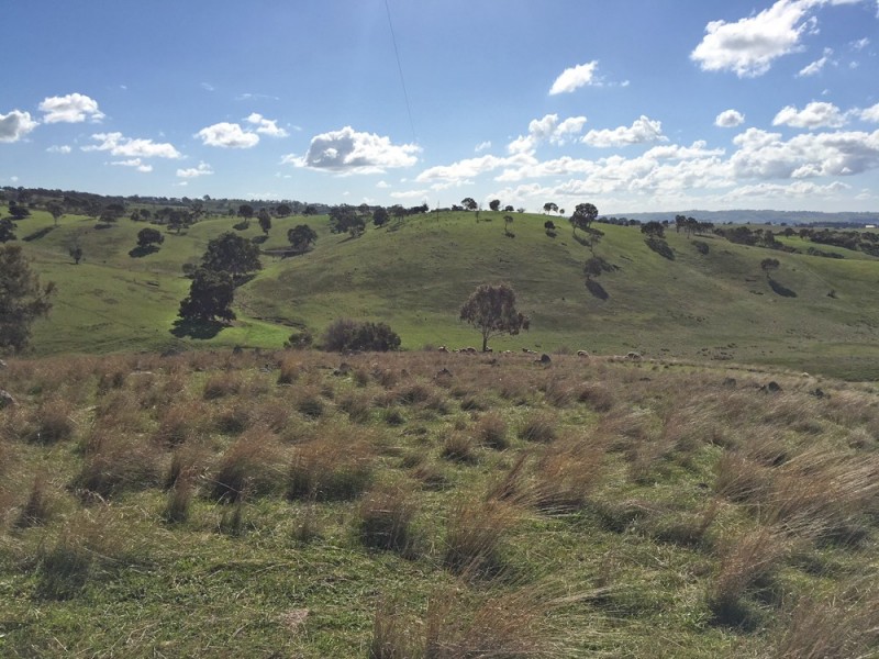 1973 Jury Road, Brukunga SA 5252