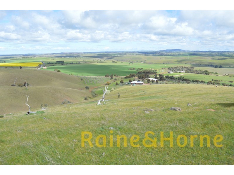 1156 The Bremer Valley Road, Rockleigh SA 5254