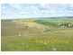 1156 The Bremer Valley Road, Rockleigh SA 5254