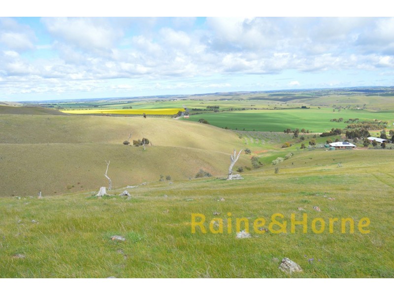 1156 The Bremer Valley Road, Rockleigh SA 5254