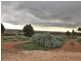 1156 The Bremer Valley Road, Rockleigh SA 5254