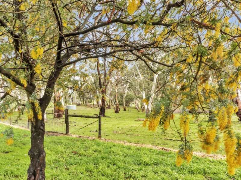 218 Martin Hill Rd, Forreston SA 5233