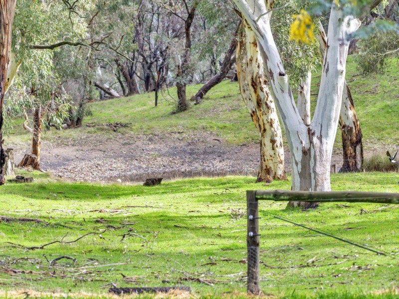 218 Martin Hill Rd, Forreston SA 5233