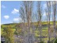 15 Adelaide Road, Tungkillo SA 5236