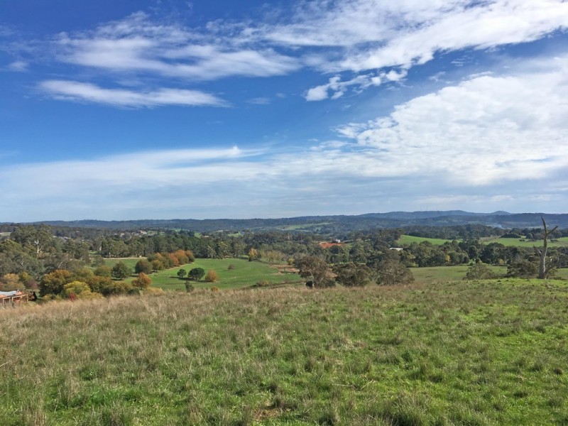 17 Martin Road, Hahndorf SA 5245