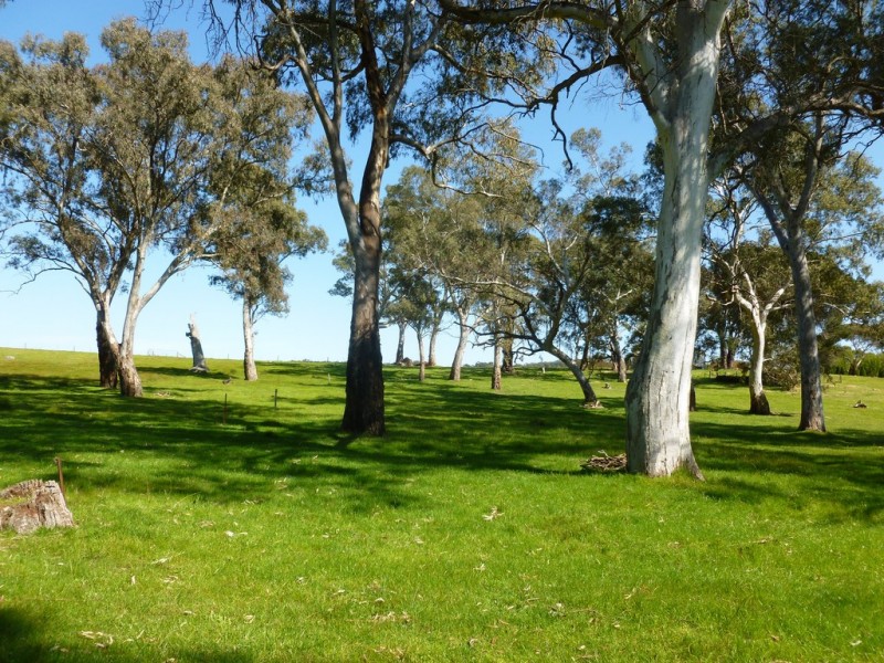 Lot 87 WARREN ROAD, Birdwood SA 5234