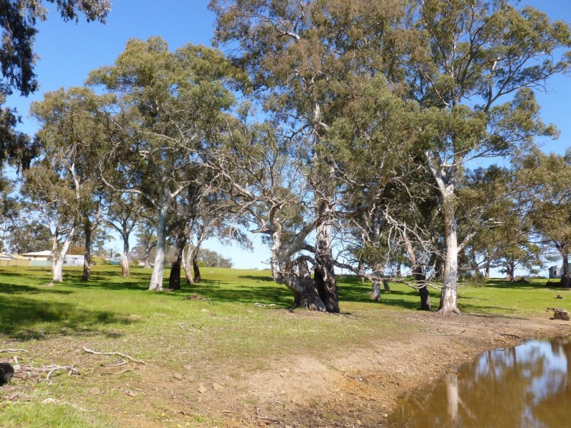 Lot 87 WARREN ROAD, Birdwood SA 5234