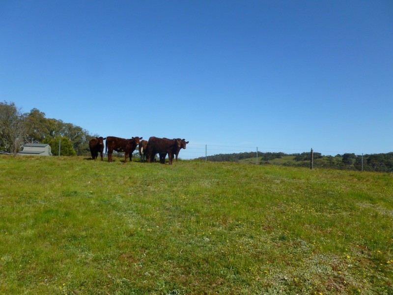 Lot 87 WARREN ROAD, Birdwood SA 5234