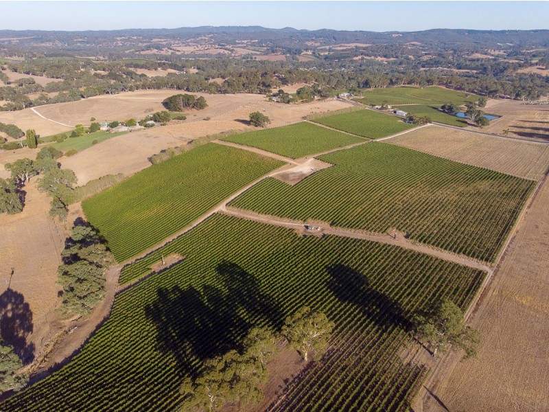 Lot 51 104 Wenzel Road, Balhannah SA 5242