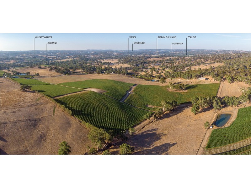 Lot 51 104 Wenzel Road, Balhannah SA 5242