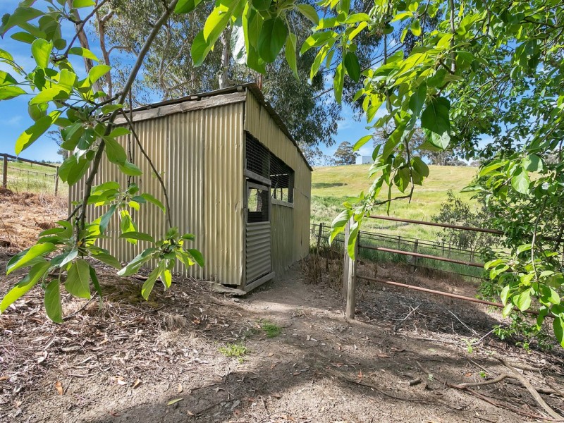 136 Norsworthy Road, Forreston SA 5233