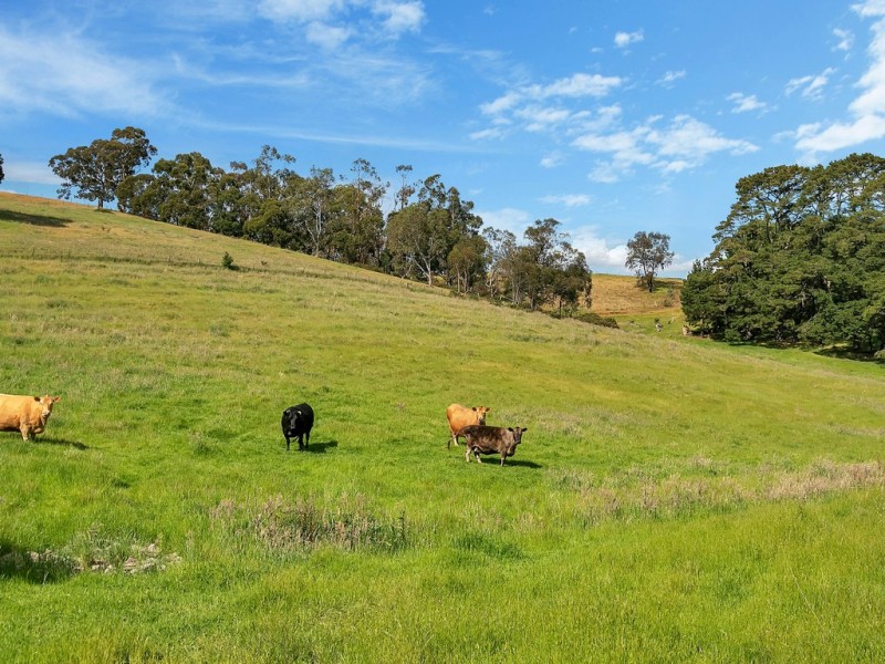 136 Norsworthy Road, Forreston SA 5233