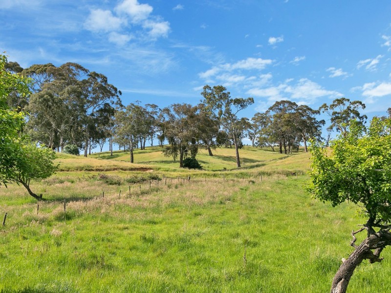 136 Norsworthy Road, Forreston SA 5233