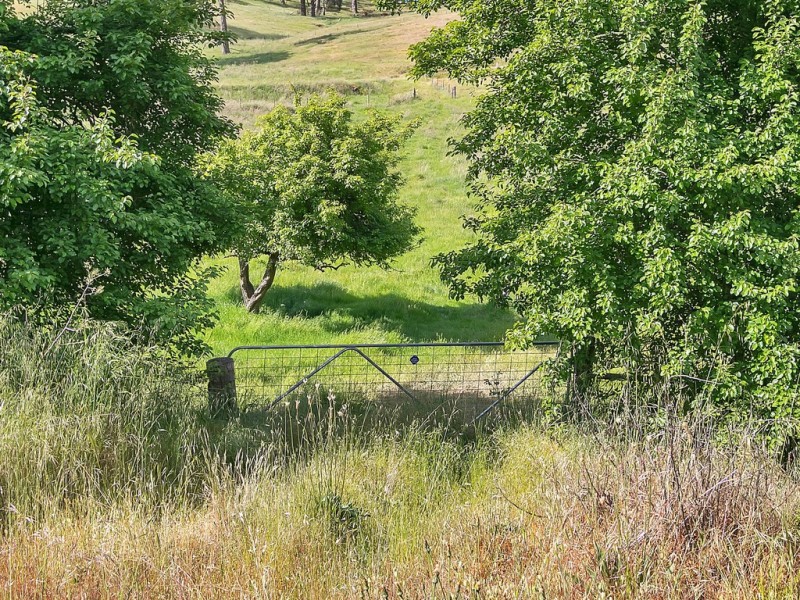 136 Norsworthy Road, Forreston SA 5233