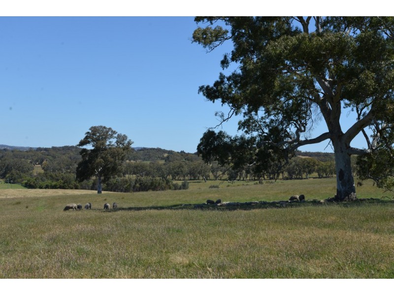 92 H Mueller Rd, Mount Pleasant SA 5235