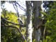 17 Memorial Drive, Tungkillo SA 5236