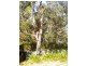 17 Memorial Drive, Tungkillo SA 5236