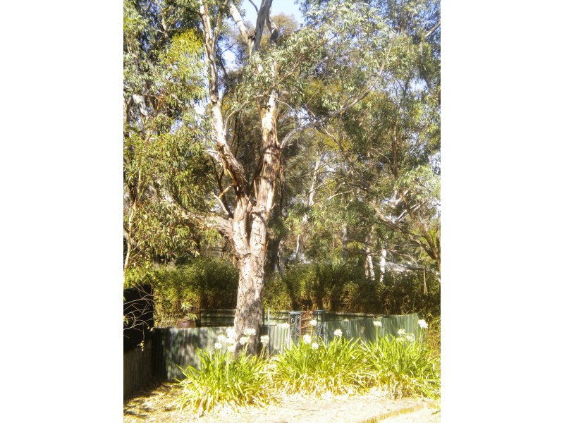 17 Memorial Drive, Tungkillo SA 5236