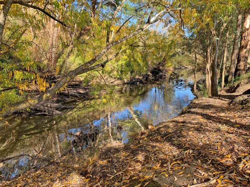 46 Onkaparinga Valley Road, Verdun SA 5245