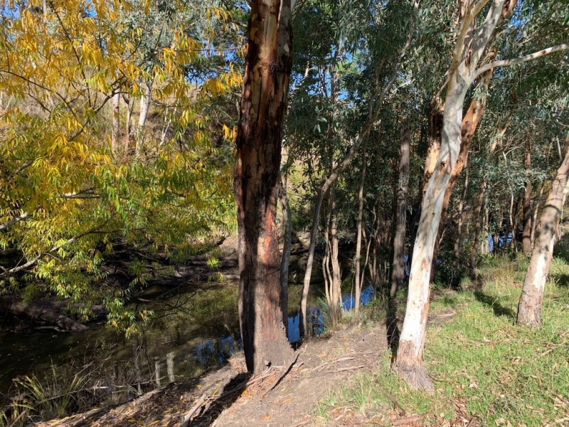 46 Onkaparinga Valley Road, Verdun SA 5245