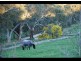 Lot 2 Landara Road, Woodside SA 5244