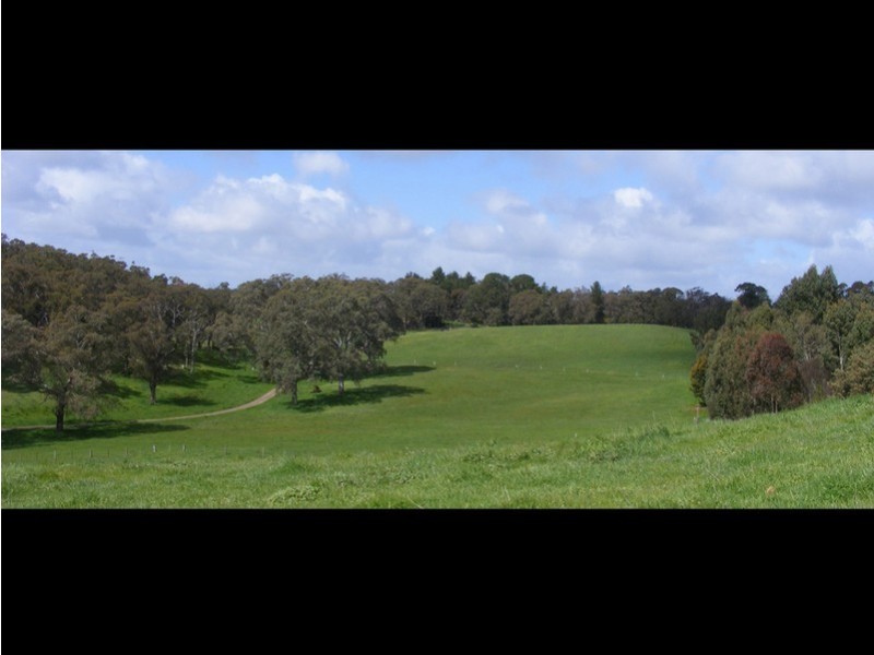 Lot 19 Oakwood Road, Oakbank SA 5243