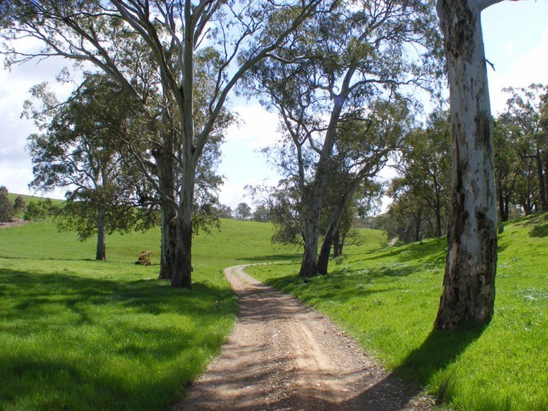 Lot 19 Oakwood Road, Oakbank SA 5243