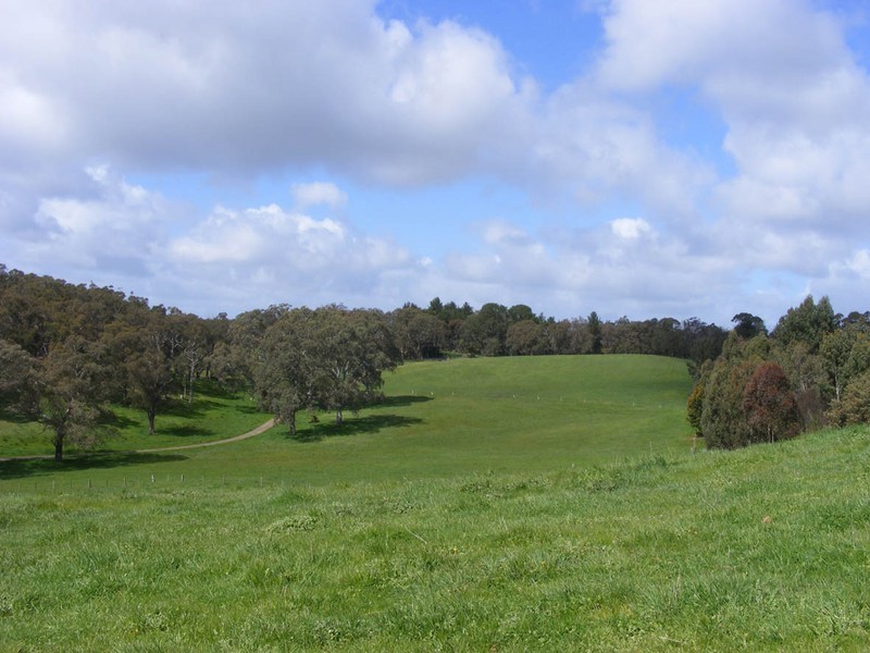 Lot 19 Oakwood Road, Oakbank SA 5243