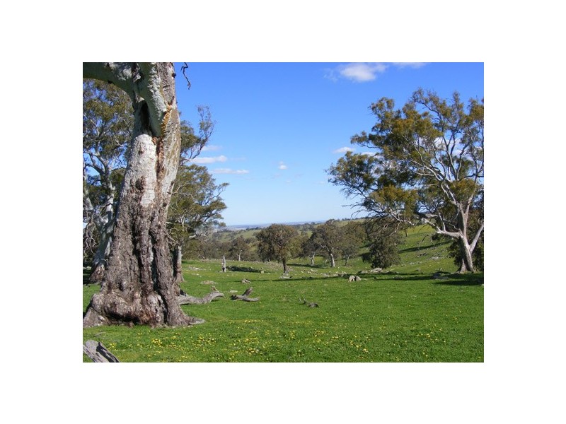 Lot 10 Brice Drive via Range Road, Woodside SA 5244