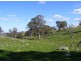 Lot 10 Brice Drive via Range Road, Woodside SA 5244