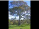 Lot 10 Brice Drive via Range Road, Woodside SA 5244