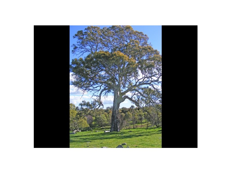 Lot 10 Brice Drive via Range Road, Woodside SA 5244