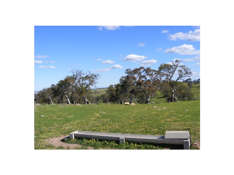 Lot 10 Brice Drive via Range Road, Woodside SA 5244