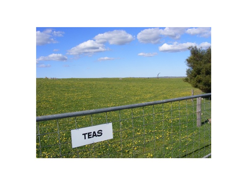 Lot 8 Brice Drive via Range Road, Woodside SA 5244