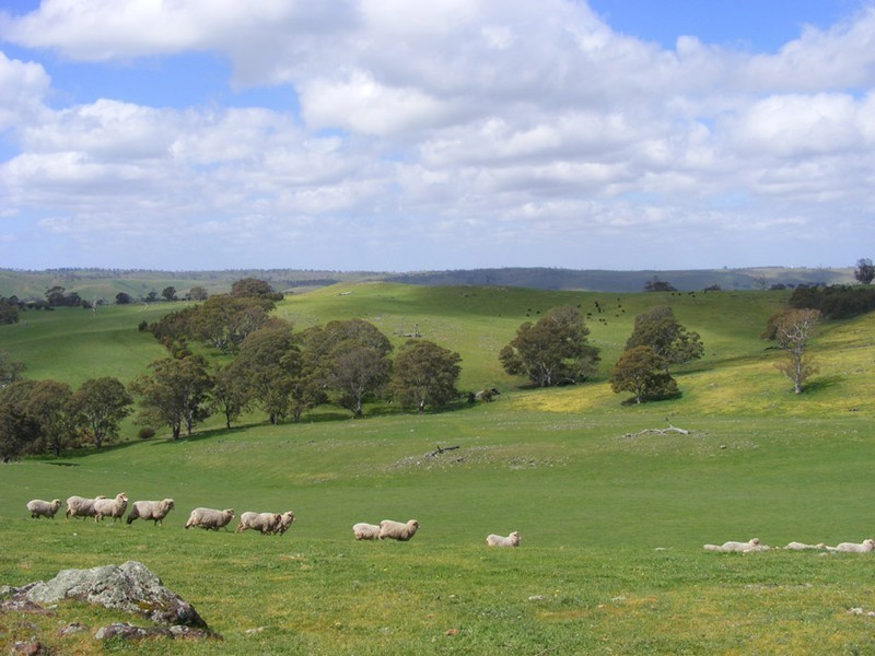 Lot 7 Brice Drive via Range Road, Woodside SA 5244