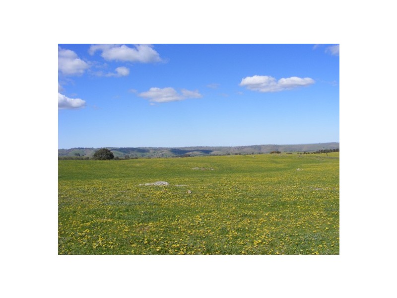 Lot 6 Brice Drive via Range Road, Woodside SA 5244