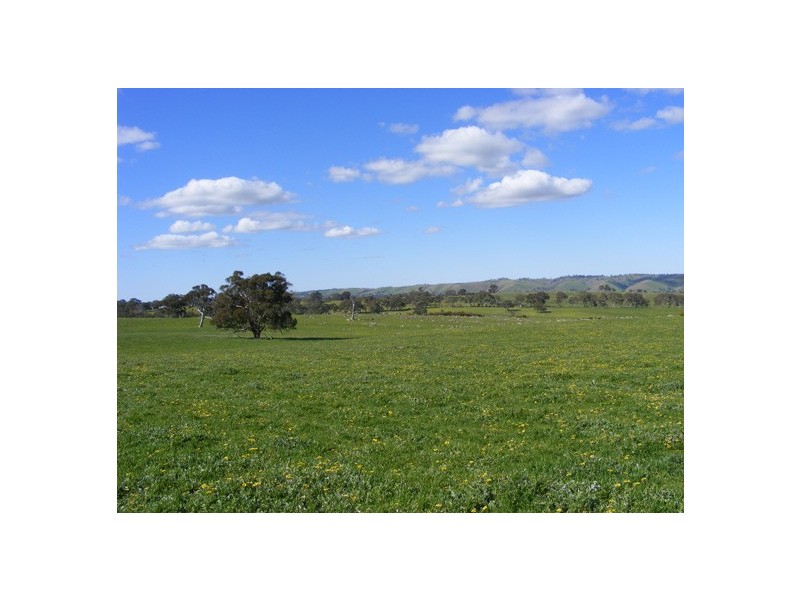 Lot 6 Brice Drive via Range Road, Woodside SA 5244