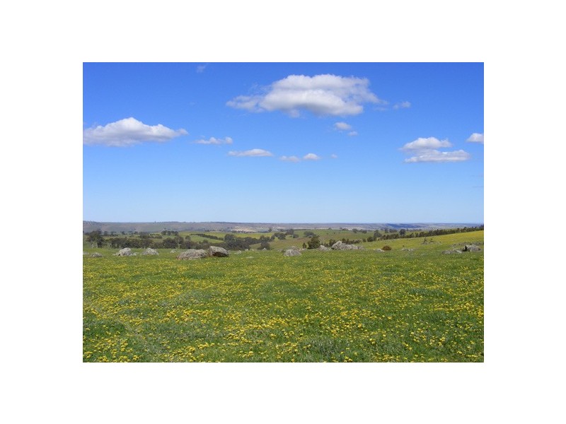 Lot 6 Brice Drive via Range Road, Woodside SA 5244