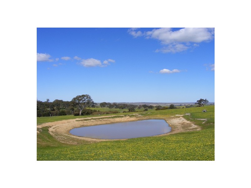 Lot 5 Brice Drive via Range Road, Woodside SA 5244