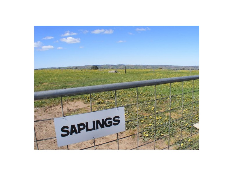 Lot 5 Brice Drive via Range Road, Woodside SA 5244