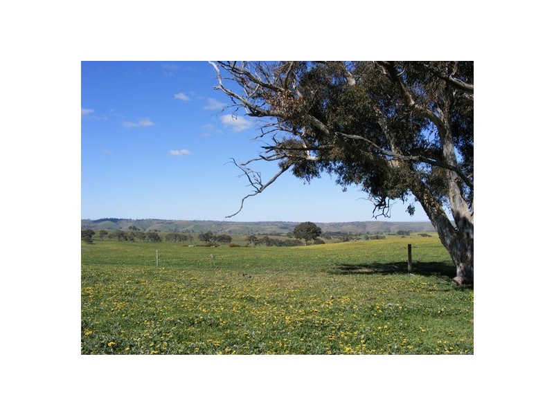 Lot 5 Brice Drive via Range Road, Woodside SA 5244