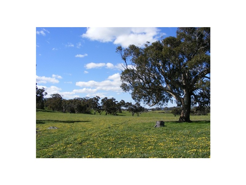 Lot 5 Brice Drive via Range Road, Woodside SA 5244