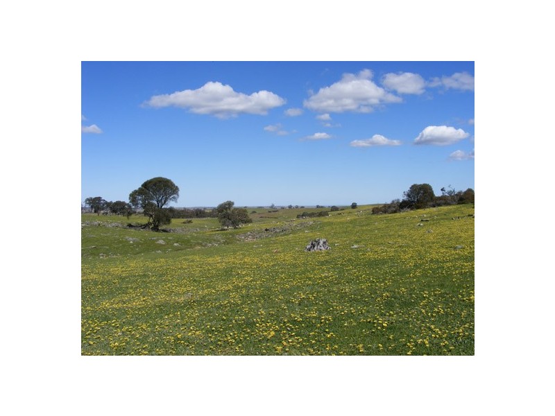 Lot 5 Brice Drive via Range Road, Woodside SA 5244